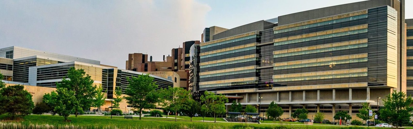 Electronic Laboratory Notebooks LabArchives at UWMadison UWMadison